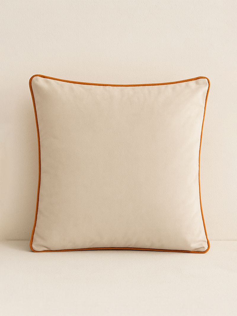 Almohadón Terciopelo Color Pop